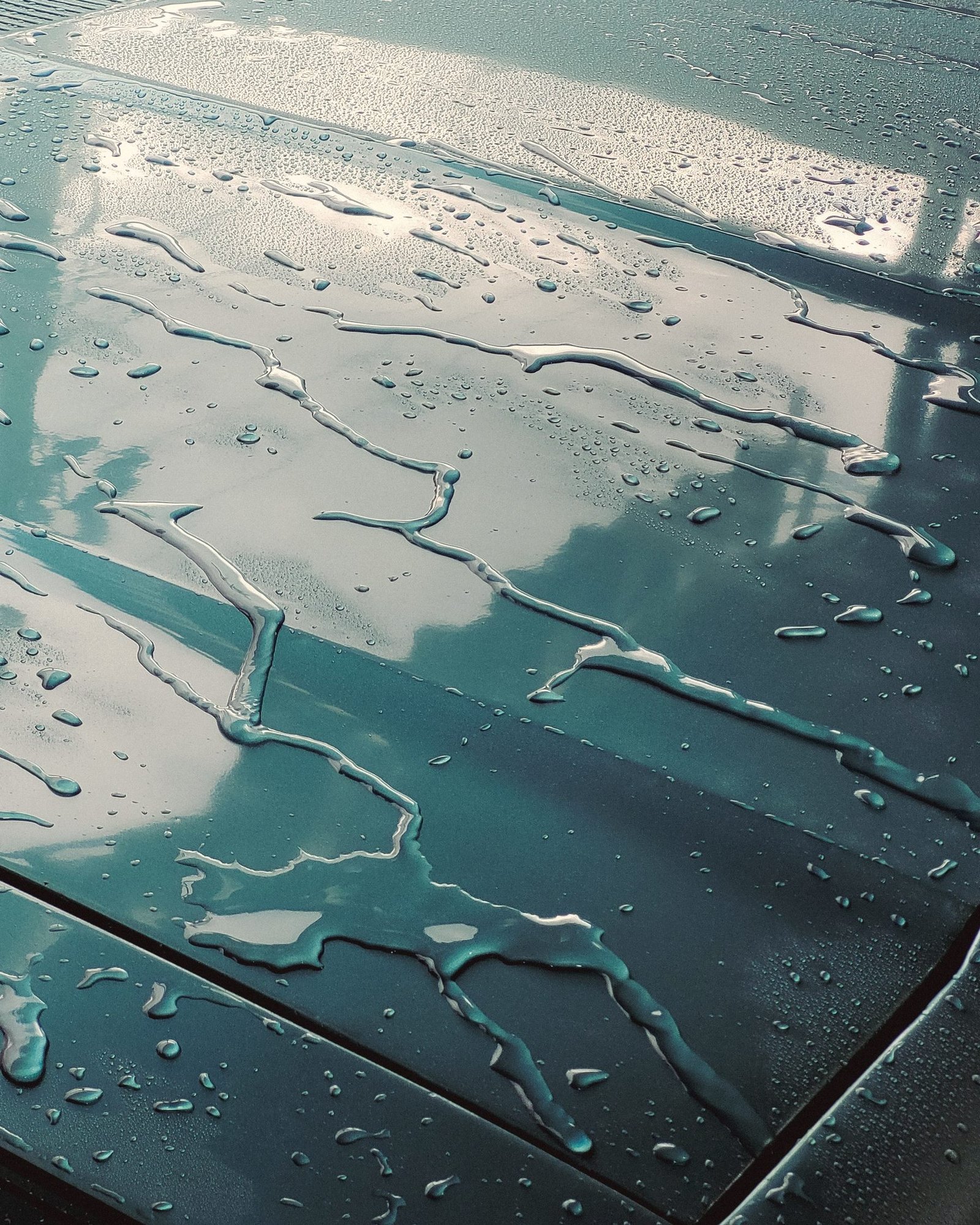 Rainwater beading on a glossy painted hood, reflecting the sky