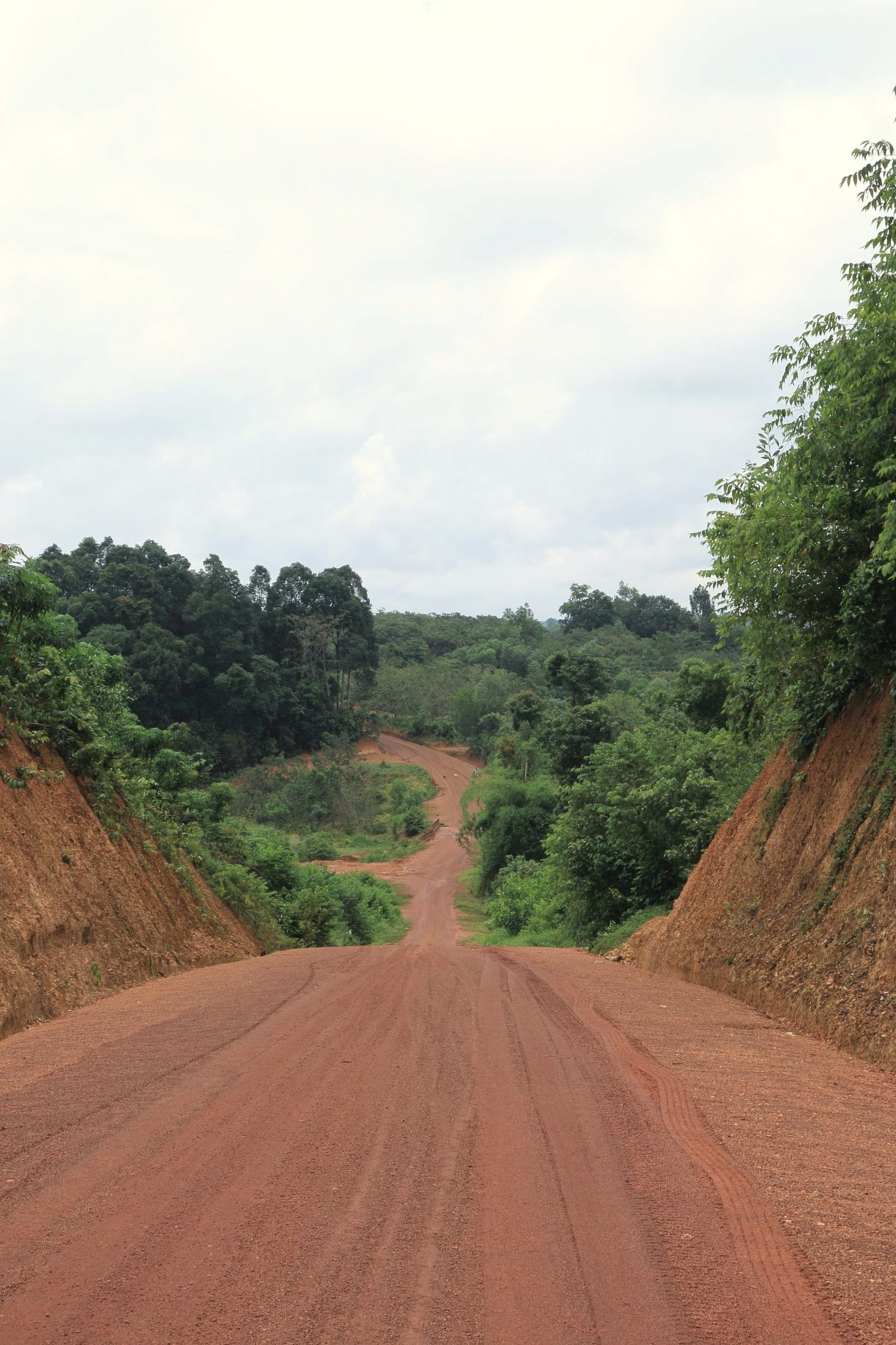 A red clay road cut between wooded banks